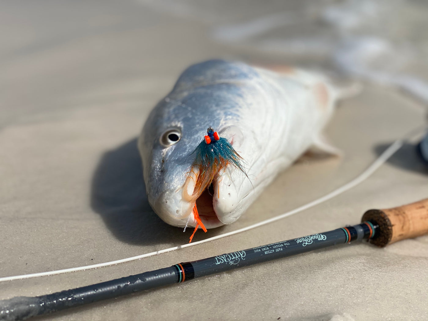 How to Catch more Redfish From the Beach